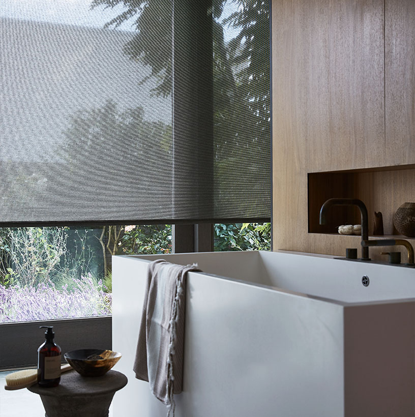 Rolgordijnen transparant