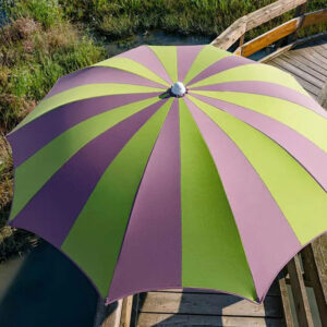 Parasol - Pegaso