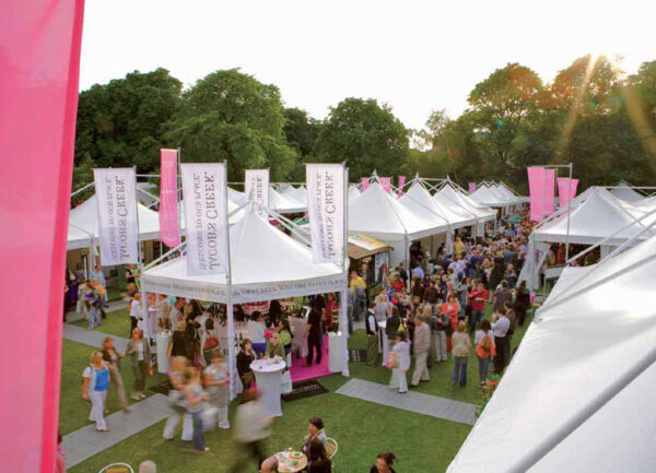 Feesttent Style Leader - Afbeelding 6