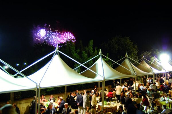 Feesttent Style Silver - Afbeelding 4