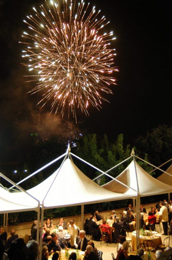 Feesttent Style Silver - Afbeelding 8