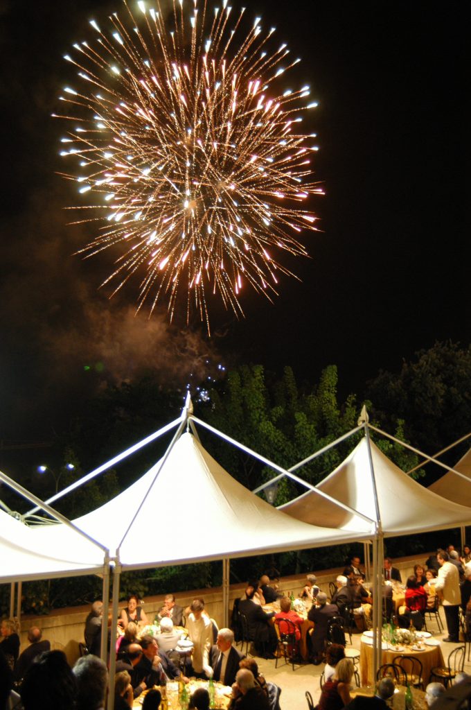 Feesttent Style Silver - Afbeelding 8