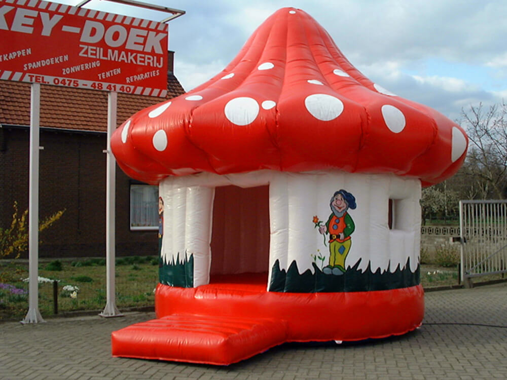 Springkussens op maat - Afbeelding 9